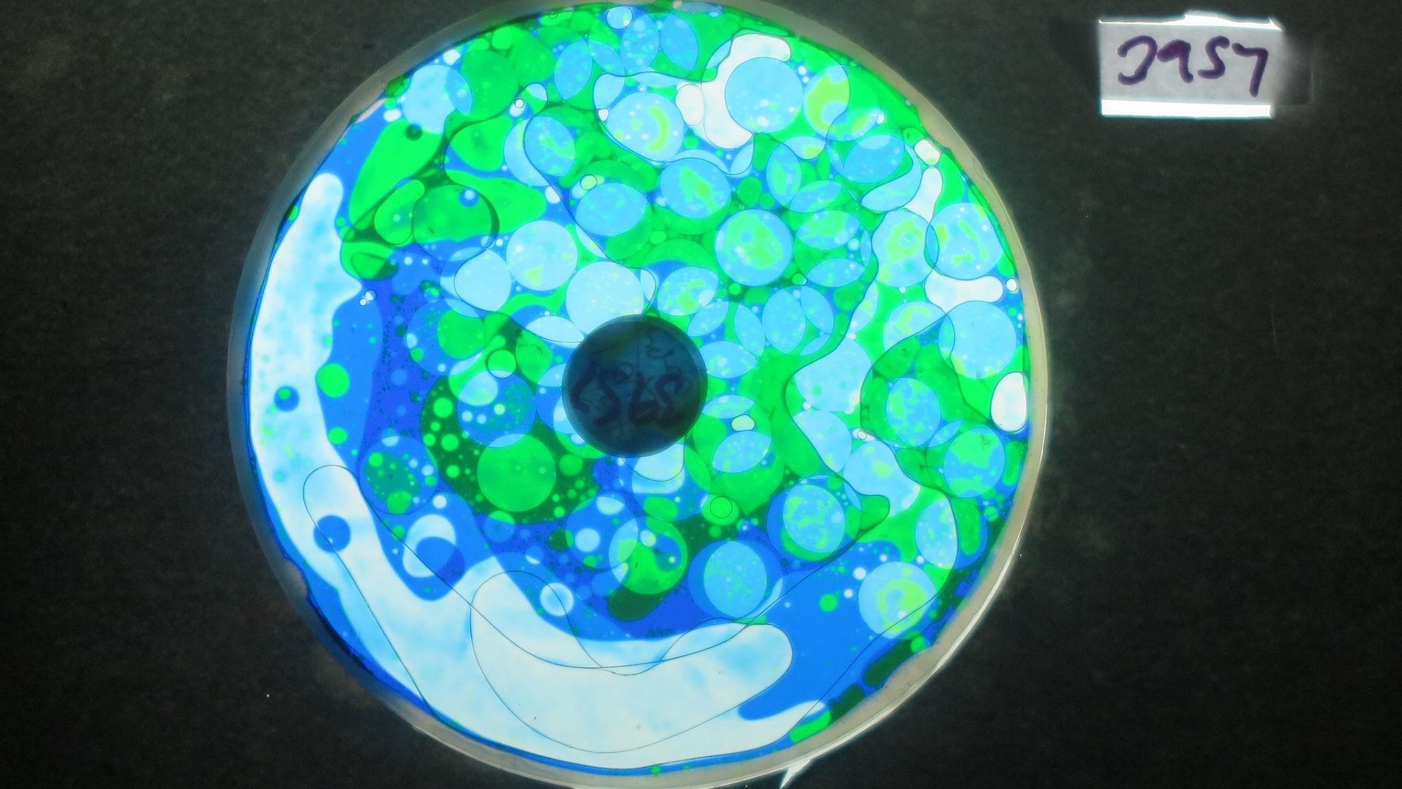 BV3957 bubble vision oil wheel